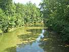 Untere Argen – Nieratzer Brücke, Blick flussaufwärts