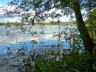 Zethner See – Blick aus Süden über den See