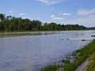 Donau – Donau Höhe Unterfalheim, Blick stromaufwärts