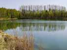 Baggersee Leibi (Nersingen)