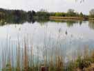 Baggersee Leibi