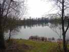 Auesee
