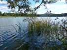 Großer Peetschsee – Blick über den Großen Peetschsee