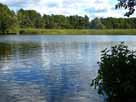 Großer Peetschsee – nördlicher Seebereich Nähe Kanalausfahrt