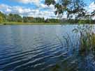 Großer Peetschsee – Blick auf die starken Schilfbestände am Ostufer