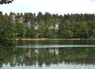 Rochowsee – westl. Seebereich, Blick Richtung Südufer