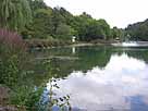 Schwanenweiher – Blick auf das nördliche Ufer