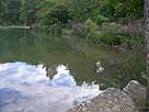 Schwanenweiher – südwestlicher Weiherbereich