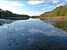Twernsee – Flachzone mit reicher Unterwasserfauna