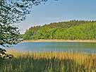 Twernsee – südöstliche Seebereich nahe Luhme