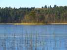 Großer Wummsee – Insel Blumenkörbchen im Februar 2017