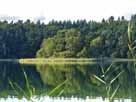 Großer Wummsee – Insel Blumenkorb im Osten des Sees