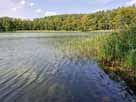 Ziemssee