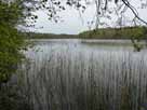 Sabinensee – Blick vom Westufer in den nördlichen Seebereich