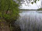 Sabinensee – Blick entlang des Westufers Richtung Norden