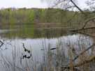 Sabinensee – Blick vom Westufer Richtung östliches Ufer