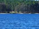 Rheinsberger See – Blick auf den Campingplatz Steinablage