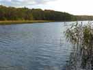 Großer Linowsee – Blick auf den nördichen Teil des Sees