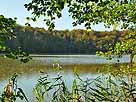 Böbereckensee – Böbereckensee im Oktober 2011