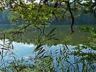 Böbereckensee – Blick vom Nordostufer