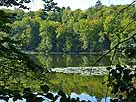 Böbereckensee – nördlicher Seebereich mit Seerosenfeld