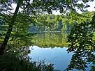 Böbereckensee – Blick vom nordöstlichen Ufer