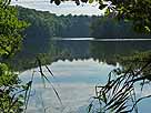 Böbereckensee – Blick vom Nordostufer Rictung Süden