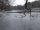 Böbereckensee – Eisbedeckung im Dezember 2014