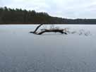 Böbereckensee – Winterstimmung am Böbereckensee