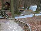 Böbereckensee – Nordostufer mit Brücke zum Arboretum