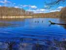 Böbereckensee – Aufnahme vom Südufer im März 2024