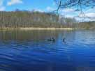 Böbereckensee – Aufnahme vom Südufer im März 2024