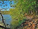 Böbereckensee – Wanderweg am Böbereckensee