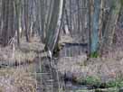 Binenbach