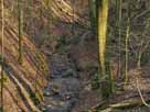 Binenbach – Binenbach im März 2019