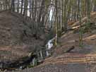 Binenbach