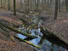 Binenbach