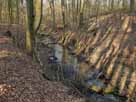 Binenbach