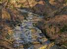 Binenbach
