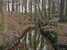 Binenbach – Binenbach unterhalb des Mühlrades