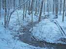Binenbach – Binenbach im Winter 2009