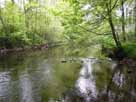 Wupper – Brücke Radiumstraße, Blick flussaufwärts