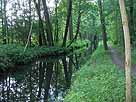 Rollkanal (Lübbenau / Spreewald) – Rollkanal aufwärts Richtung Wotschowska