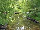 Roter Nil (Lübben / Spreewald) – oberhalb der Mündung in den Umflutkanal
