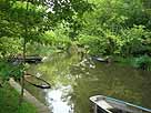 Roter Nil – oberhalb der Mündung in den Umflutkanal