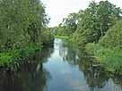 Burg-Lübbener-Kanal – unterhalb der Schleuse Batzlin