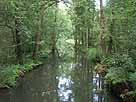 Semisch – Höhe Weggraben, Blick Richtung Hauptspree