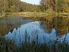Mühlenteich Kramnitz