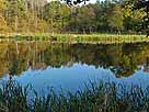 Mühlenteich Kramnitz