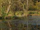 Mühlenteich Kramnitz